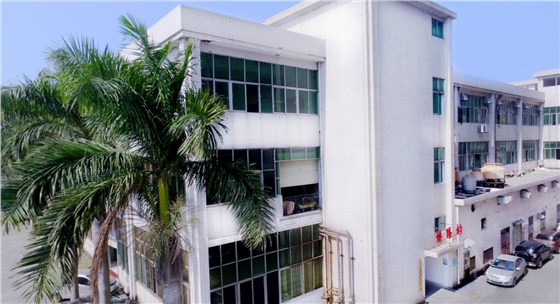 博騰納外貌 博騰納外貌